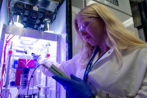 A researcher works in a lab.