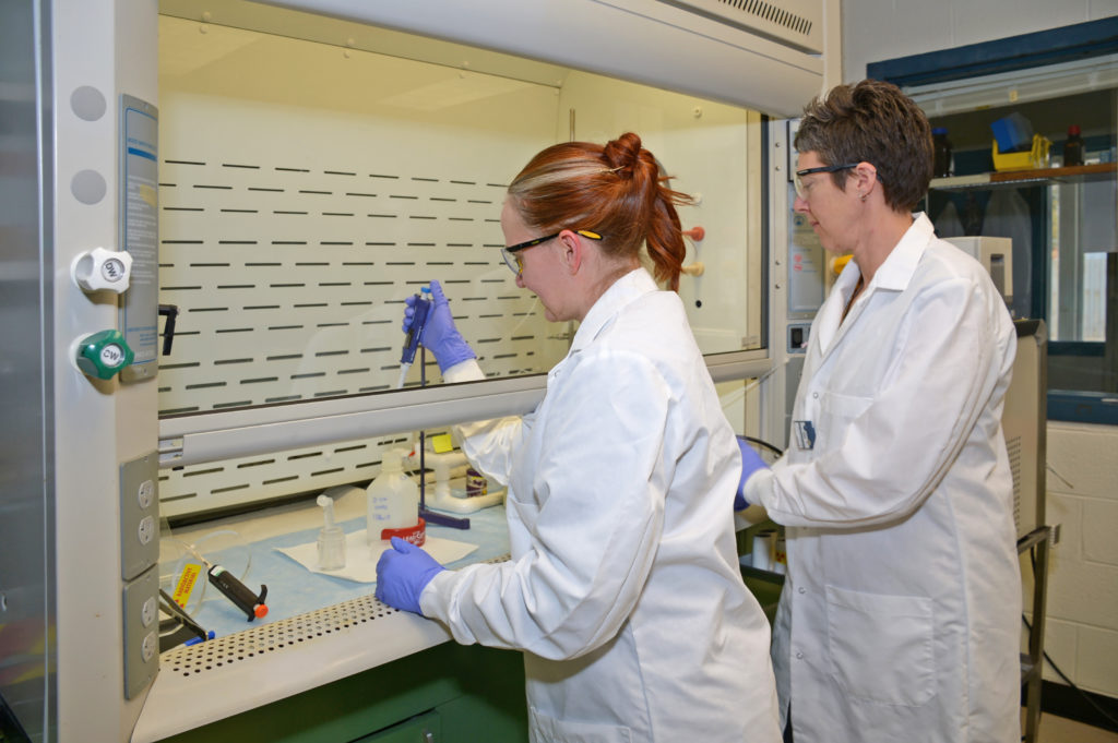 two women working in a laboratory